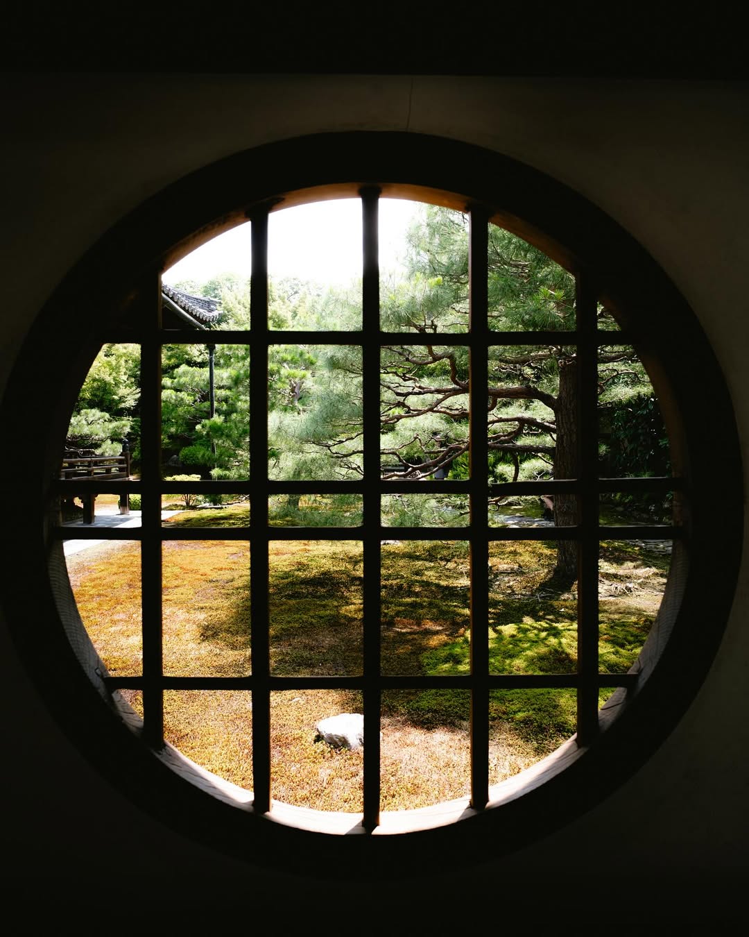 https, 片与球迷分, tenan